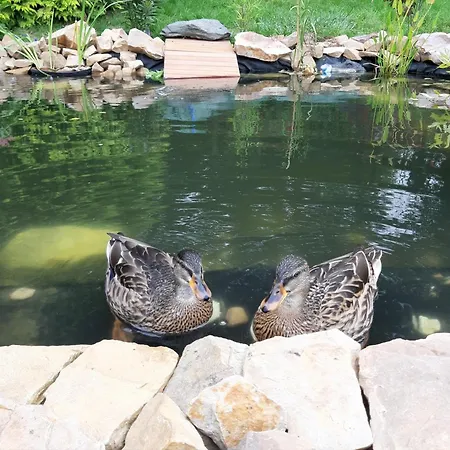 Au Calme A - Chez Ben * Ramillies