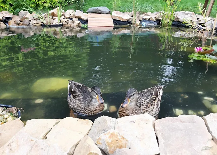 Au Calme A - Chez Ben * Ramillies